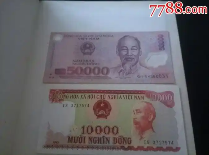 越南盾两张(1万,和5万)