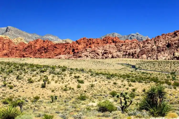 走过美国西部(二)高原.戈壁