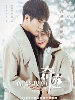 你是我的奇迹