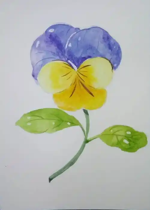 水彩画基础水彩画入门的基础画教程