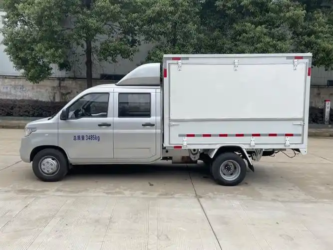 五菱工业 五菱荣光新卡专用车 2023款 2.0l双排加长双后轮翼开启