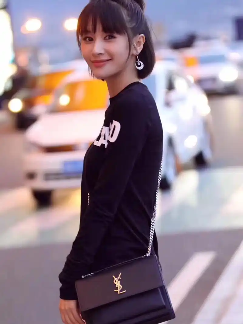 ysl王子文同款 超美超显气质_单肩包_箱包