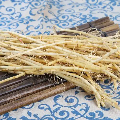 白茅根500克g 新鲜野生茅草根竹蔗马蹄茅根水毛根凉茶中草药食材