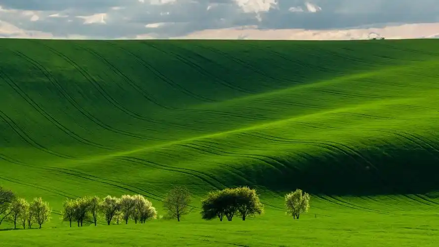 4k高清电脑壁纸(3)长期更新4k高清优质图片素材.竹石