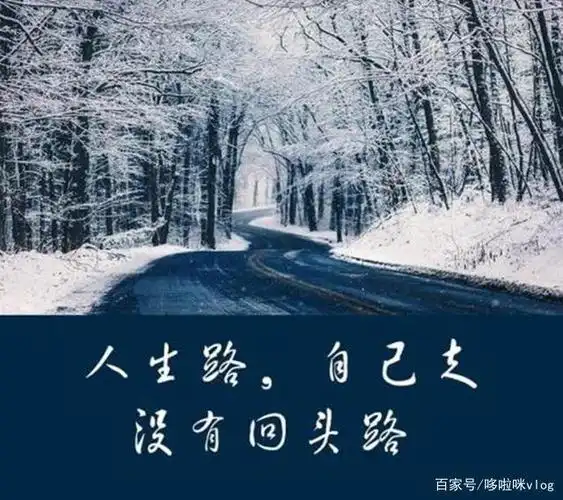 人生没有退路,只有前行