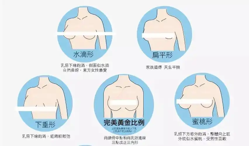 d罩杯真的很大吗?内衣穿不对会毁了你的胸!_地方