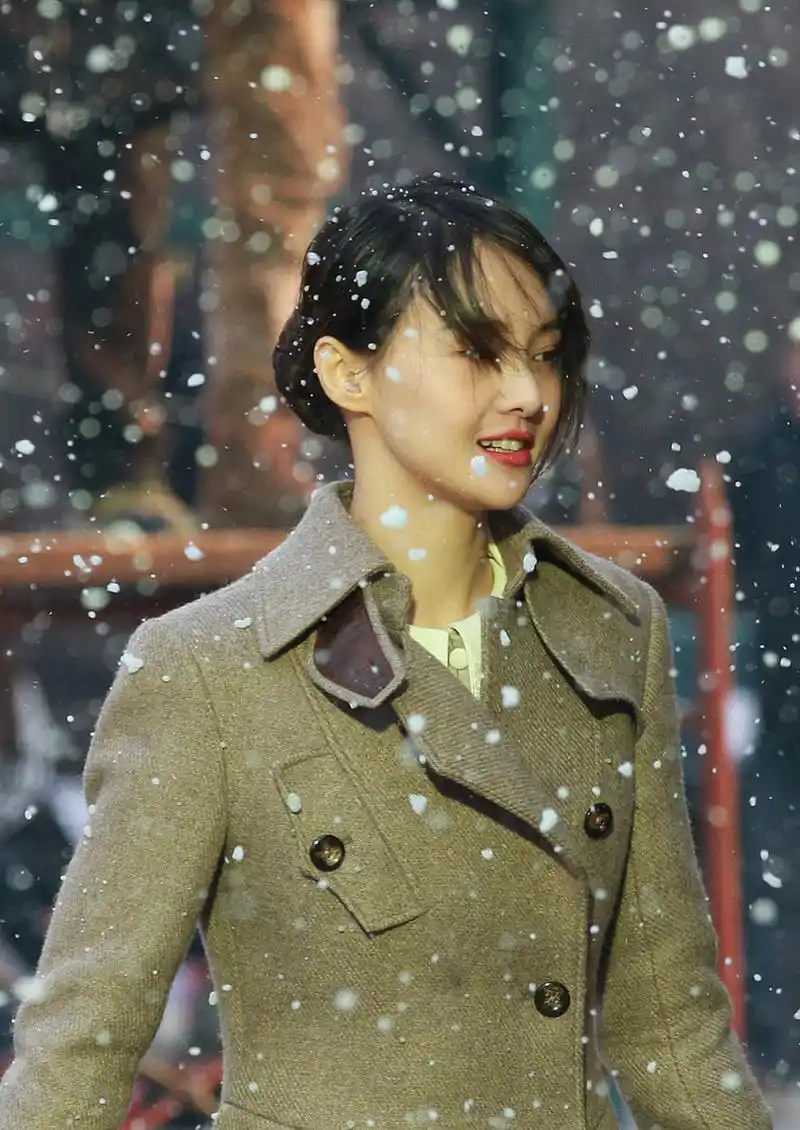 投资人希望郑爽承担千万ai换脸费.