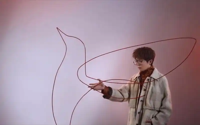 《幼鸟指南》| 毛不易:"我还是一只幼鸟"-音乐视频-搜狐视频