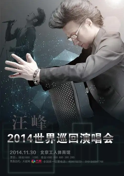 汪峰演唱会海报