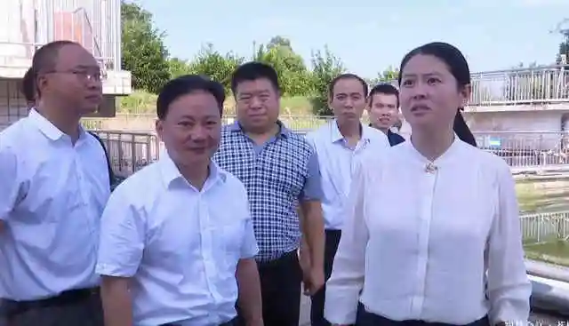 合江县委副书记王一米率队到大桥镇调研河长制工作开展情况