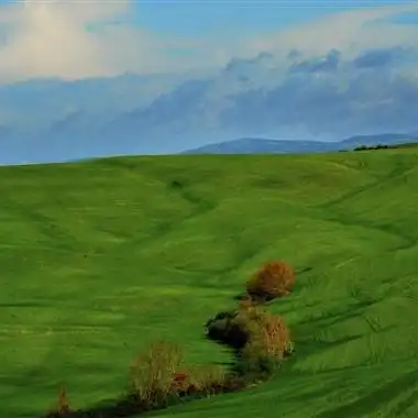 漂亮的草原风景微信头像 微信头像图片大全 -【爱个性】