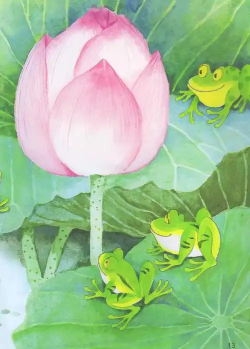 《小青蛙与荷花》