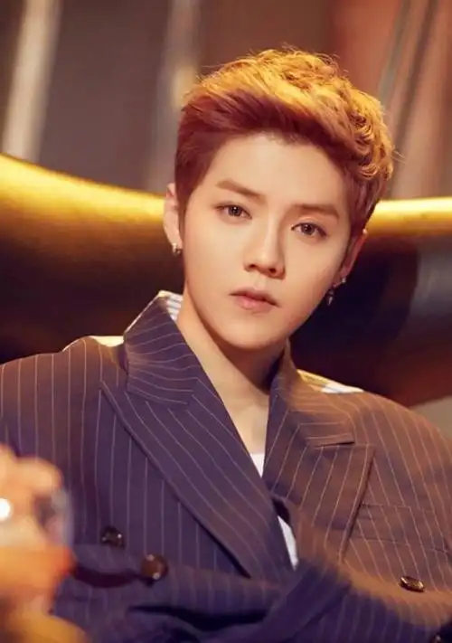 鹿晗:公认的京城少爷,让韩国节目组当面道歉,他家世到底有多牛_成为了