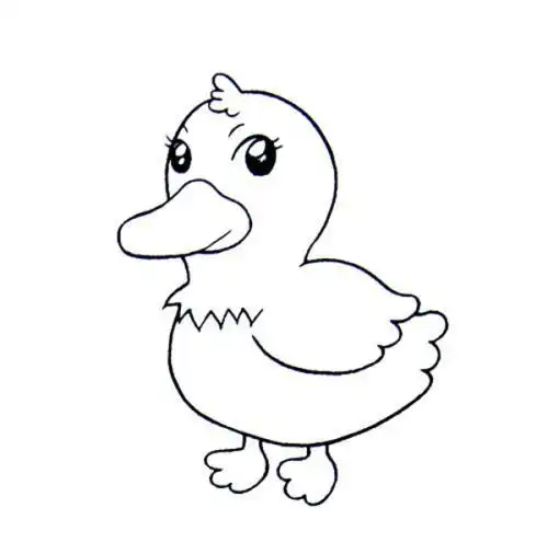 简笔画大全动物可爱小动物手抄报动物手抄报