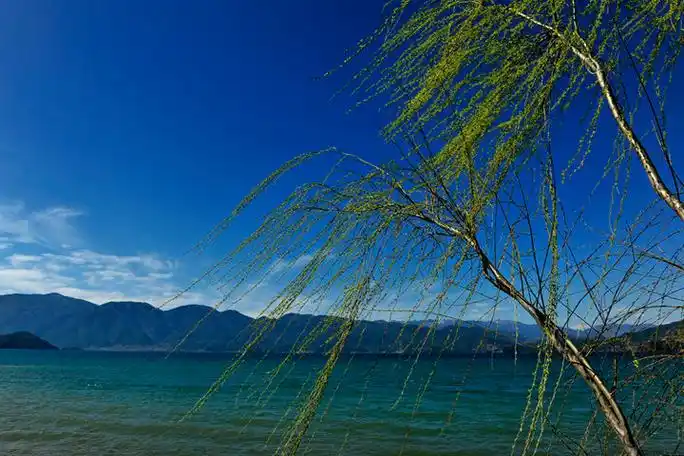 11云贵川春风吹暖泸沽