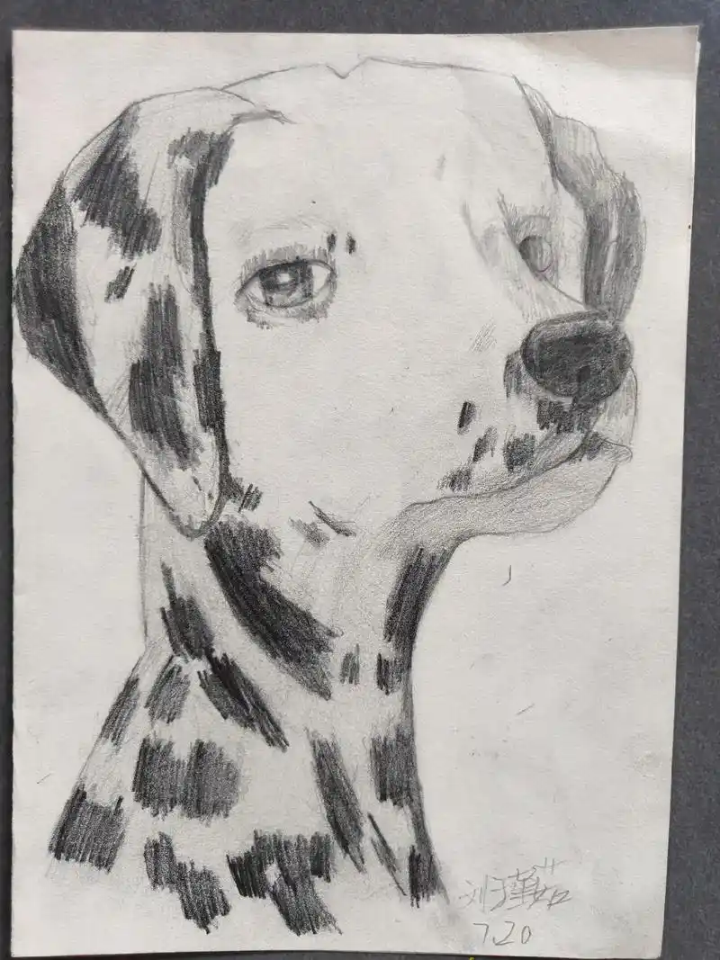 一起学画画 #想画就画 # - 抖音