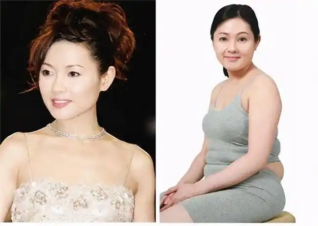 一胖毁所有的七大女星李湘李丽珍张惠妹发福的不忍直视