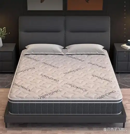 穗宝床垫系列,从环保椰棕床垫加硬健脊薄垫,到软硬双面的乳胶椰棕弹簧