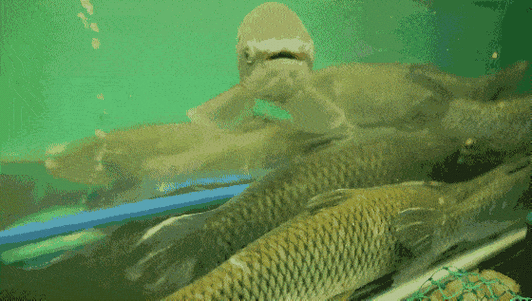 560_317gif 动态图 动图