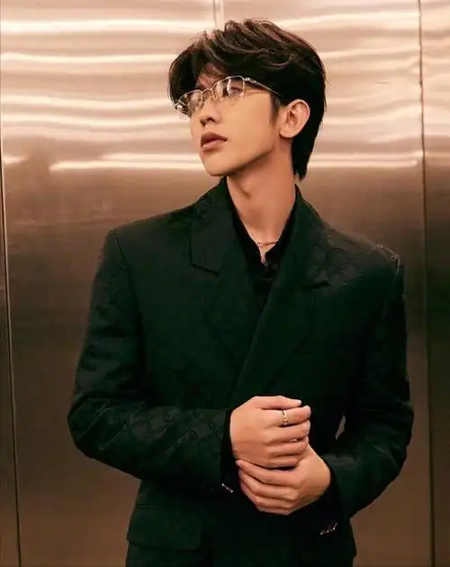 蔡徐坤黑色闪片西装造型,蔡徐坤黑色闪片西装造型图片-图7