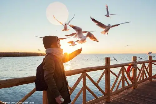 果然不枉我4点半起床赶去居延海看的日出,海鸥才是这里的点缀