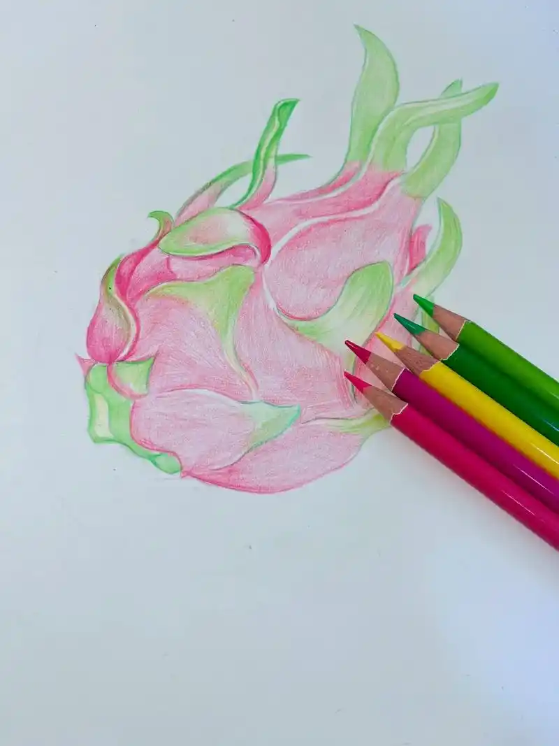 彩铅水果火龙果
