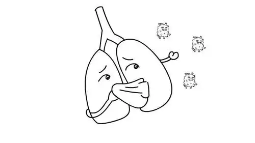 肺炎简笔画教程