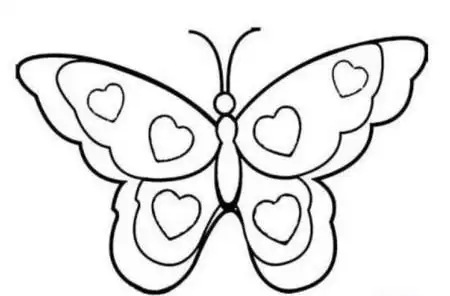 蝴蝶彩色简笔画图片大全 中级简笔画教程-第7张