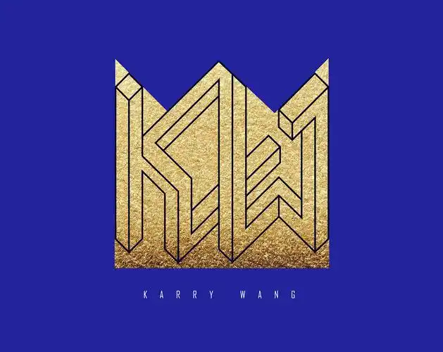 王俊凯工作室logo设计