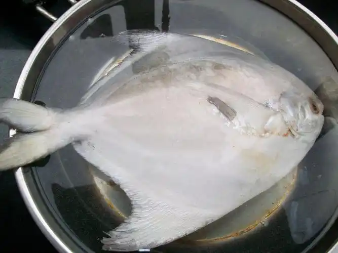 这是什么鱼?怎么做?急!