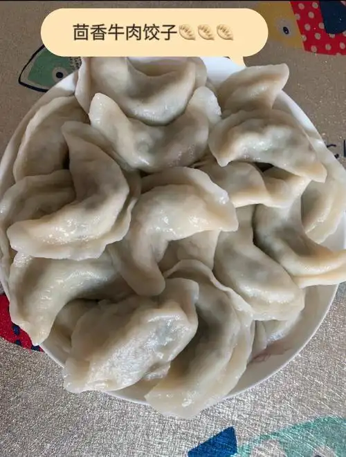 家庭版茴香牛肉饺子090909,好吃979797