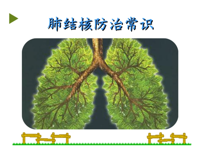 结核病防治讲解ppt课件.ppt