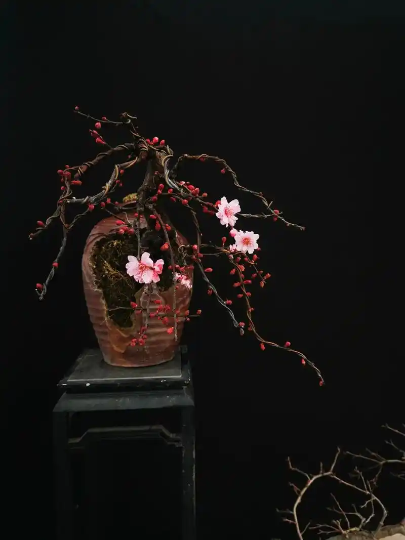 暗香依旧#创作灵感 #盆景 #原创 #原创作品 #梅花 - 抖音