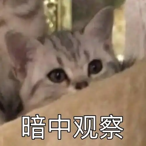 暗中观察_暗中_观察表情