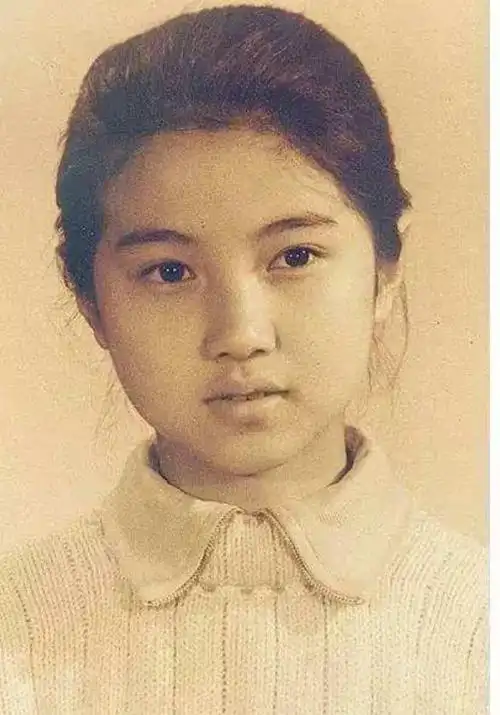 尽管颜丙燕多次荣获各种荣誉和称号,但她始终将这些视为过眼云烟,从未