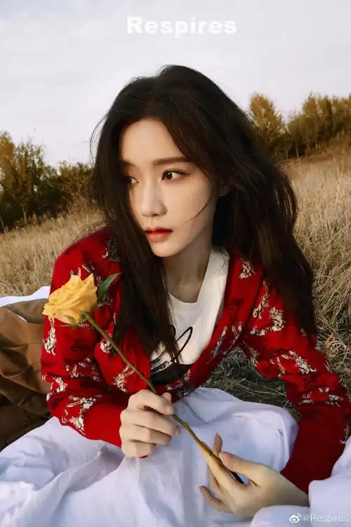 respires emotion##陈意涵日暮芦苇荡大片##陈意涵芦苇日暮大片