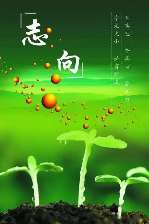 朋友圈早安激励语2020微信朋友圈早上好励志文字图片