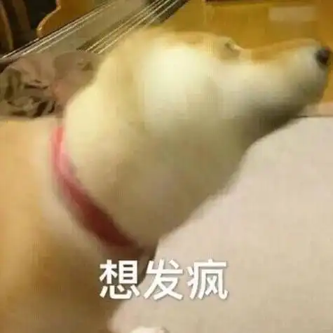 它真的治好了我的容貌焦虑和年龄焦虑