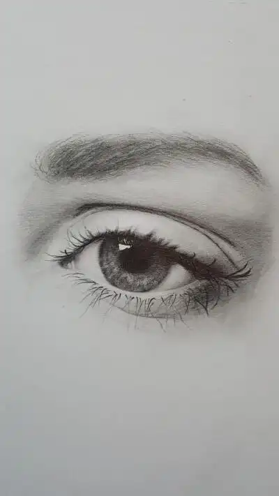 命运石之门素描