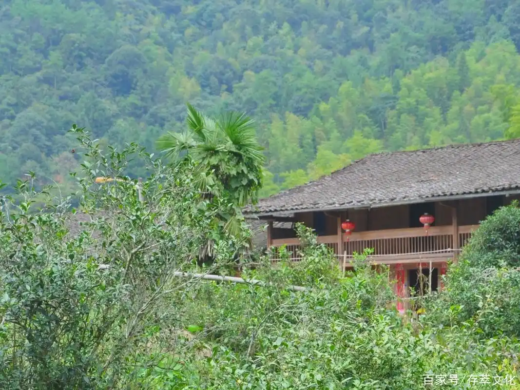 掩藏在山中的人家,令人羡慕