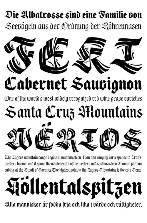 2019第五届hiiitypography中英文字体设计大赛入围作品专业组