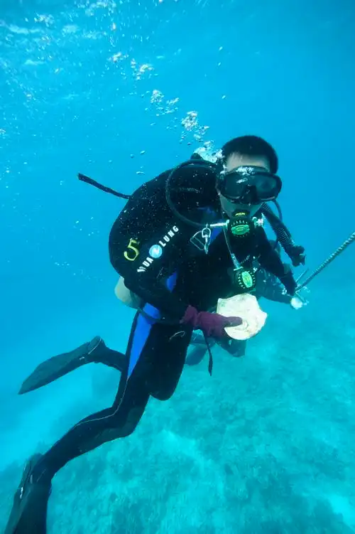 【组图】南海水下考古"海上丝路"的前世今生(组图)