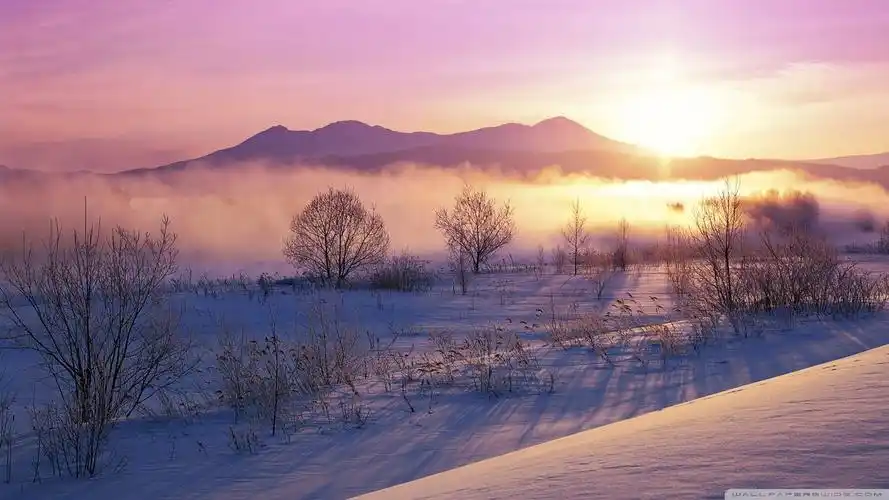 android安卓风景 夕阳 冬天 白雪 晚霞高清手机壁纸免费下载,安心市场