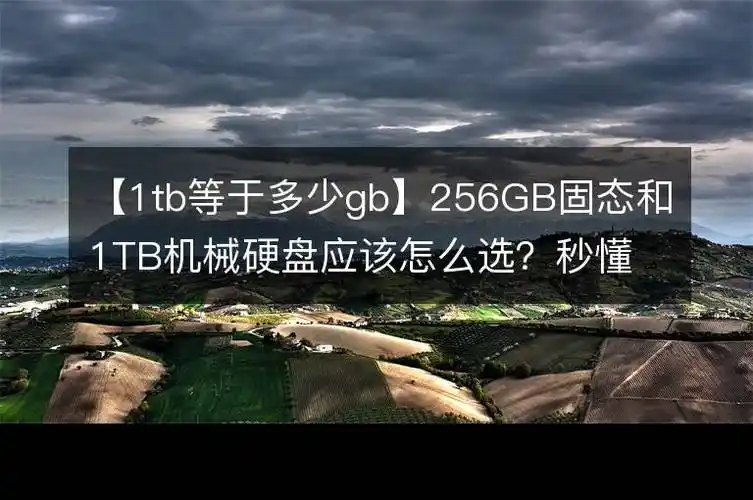 1tb等于多少gb256gb固态和1tb机械硬盘应该怎么选秒懂