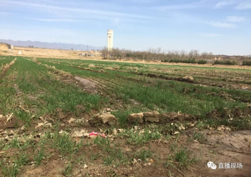 山西省风陵渡开发区西王村在群众说:中基黑化工厂违法占用农民耕地几