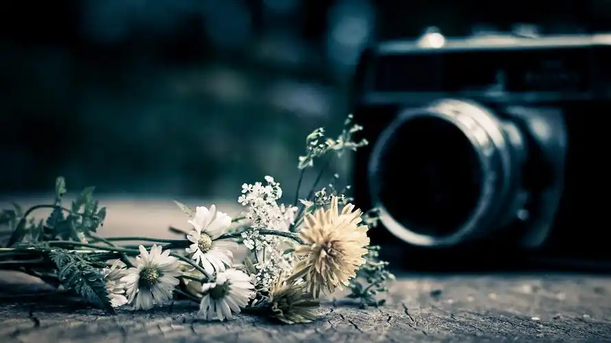 复古文艺的照相机图片桌面壁纸一