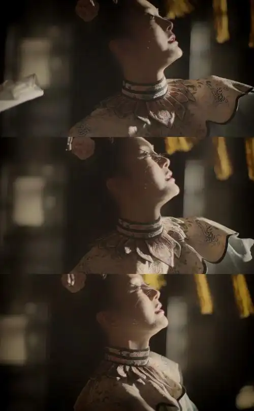 白月光-富察·容音