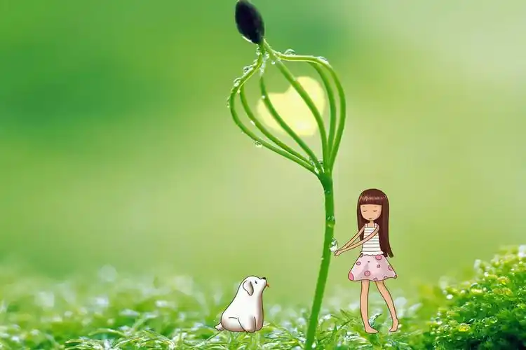 绿色小清新风景壁纸_生机勃勃的绿色