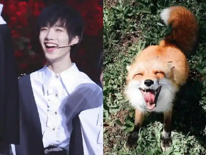 丁程鑫 二十一岁鑫之所向赴十阶