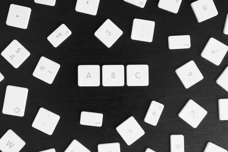 无人,横图,俯视,黑白,室内,特写,白天,键盘,静物,许多,黑色背景,英文,